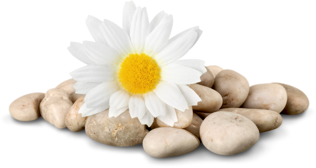 Flower and Stones